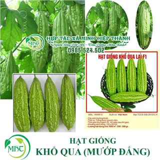 Sale off Hạt giống khổ qua cực đẹp.