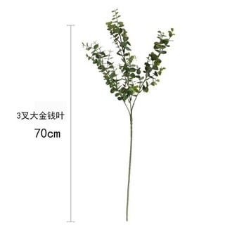 Lá táo điểm cao cấp