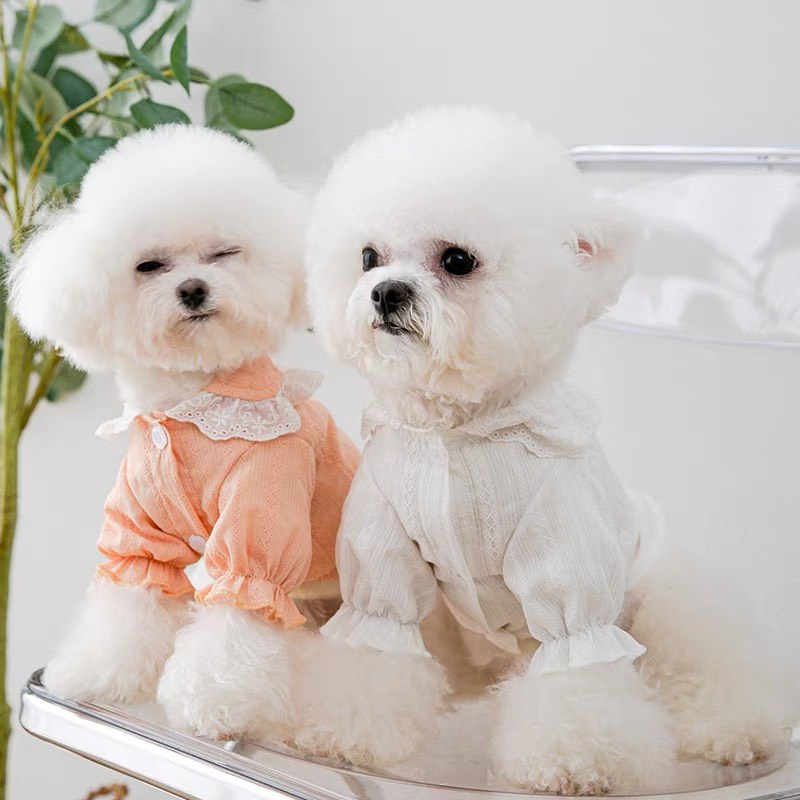 Áo tay phồng búp bê cho thú cưng