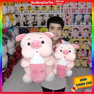Heo ôm bình sữa gấu bông cần thơ
