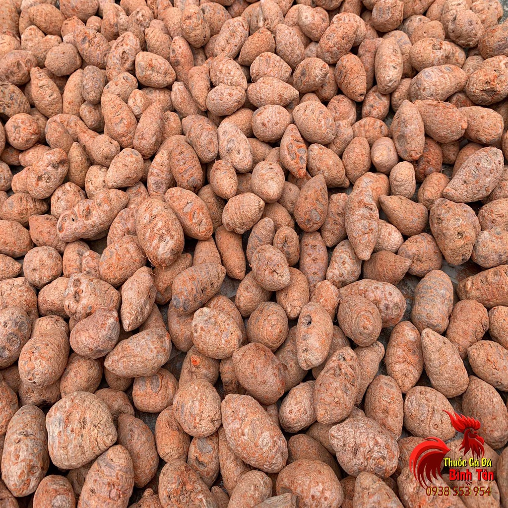 Củ Nghệ Đỏ Cho Gà Đá Cao Cấp [Nguyên Chất 100%] - 500gram