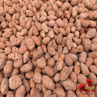 Củ nghệ đỏ cho gà đá cao cấp - 500gram