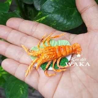 Tôm hùm Mini 01- Đất Sét Cao Cấp