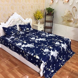 Sét chăn ga gối trần bông