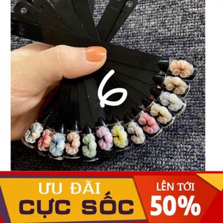 Hoa cúc ôm đá móng úp