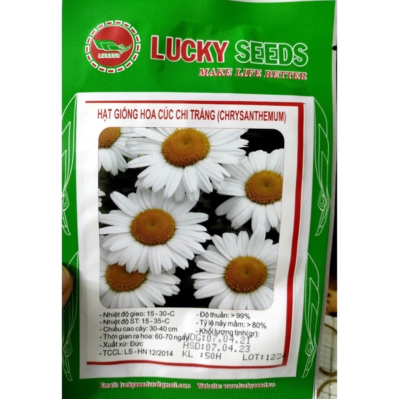 50 Hạt giống Hoa Cúc Chi Trắng _ xuất xứ Đức