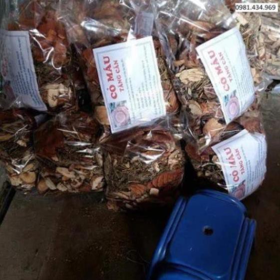 Cỏ máu tăng cân , cây cỏ máu, cỏ béo giúp tăng cân, đẹp da, giành cho người gầy, khó tăng cân