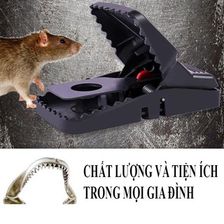 BẪY CHUỘT ĐEN THÔNG MINH