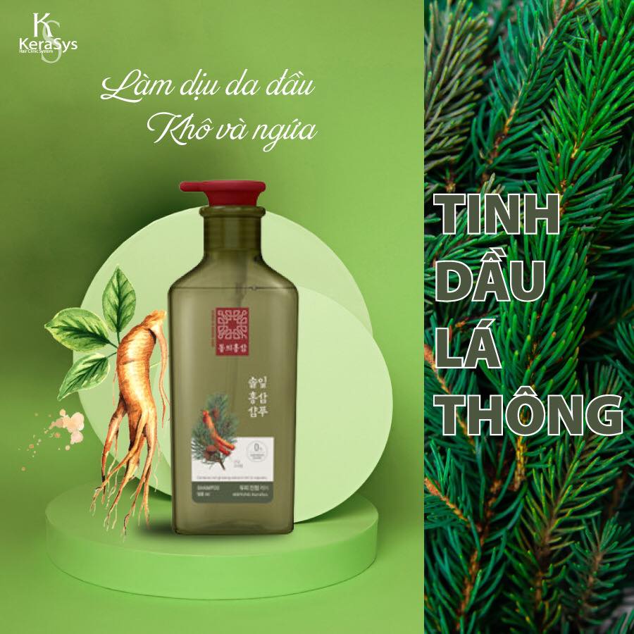 Dầu Gội Xả Hồng Sâm Ngăn Ngừa Rụng Tóc, Làm Phồng Tóc và Giảm Gàu Ngứa Kerasys Dong Ui Hong Sam Hàn Quốc 500ml