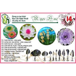 Dụng cụ rau câu 3D Ngọc Huệ (bộ số 14 - hoa sen nhỏ, hoa anh túc, hoa tigol, hoa mười giờ)