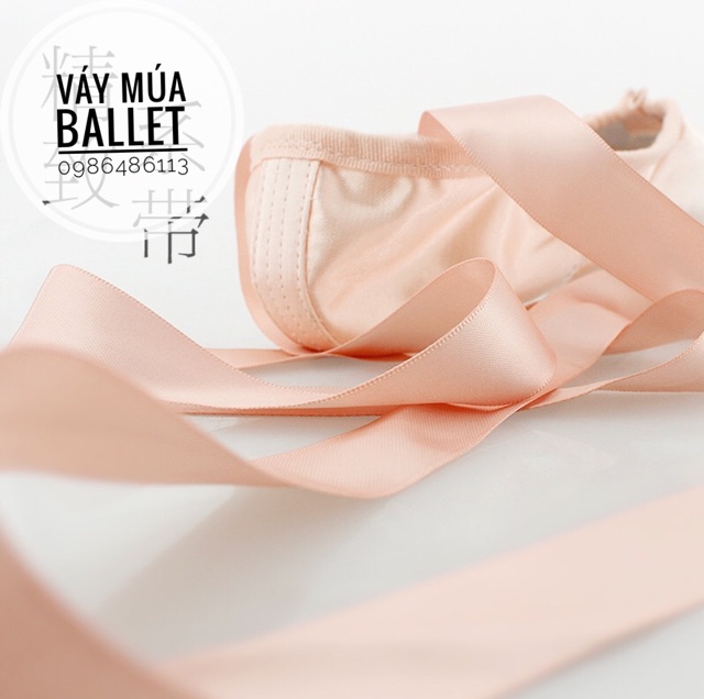 Giày múa ballet mũi cứng kèm lót silicon DayDance