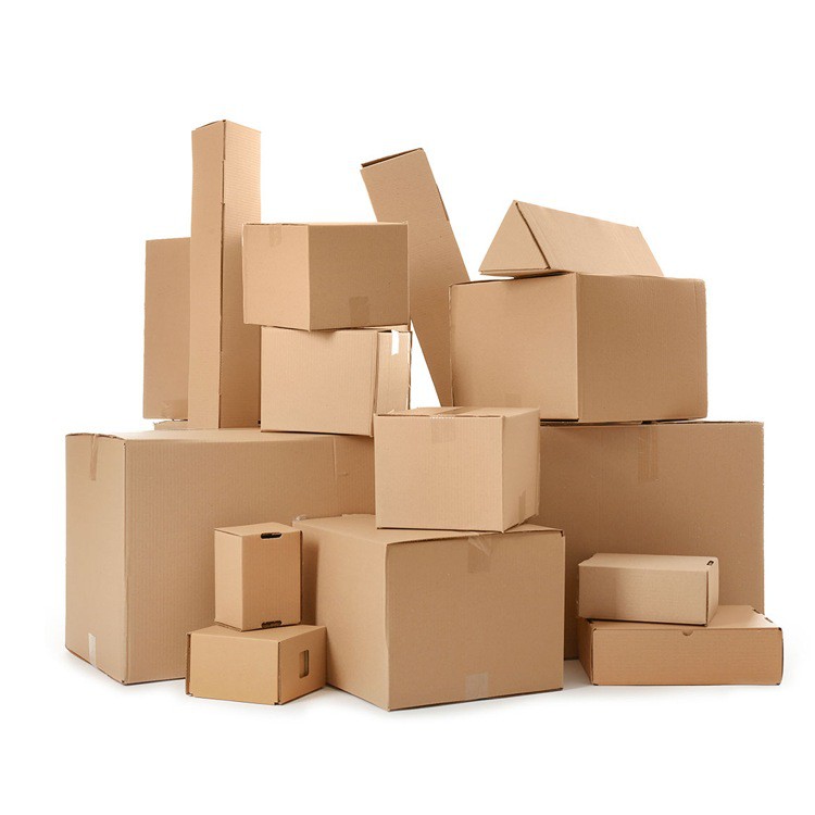 Hộp carton đóng hàng 20x12x8cm - B13