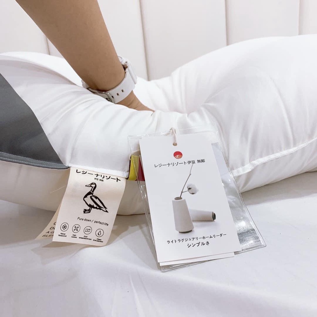 SÉT 2 RUỘT GỐI LÔNG VŨ KHÁNG KHUẨN  JAPAN