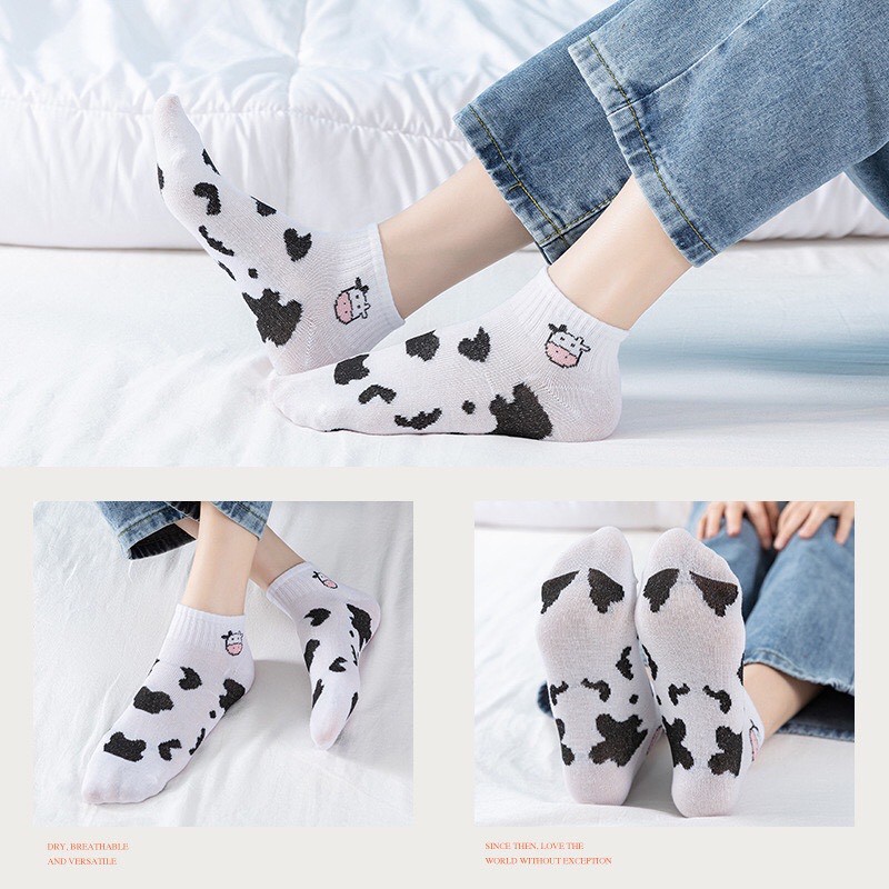 Tất nữ cổ ngắn bò sữa, tất nữ hàn quốc cute combo 5 đôi