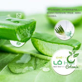 Mặt nạ BIOAQUA lô hội