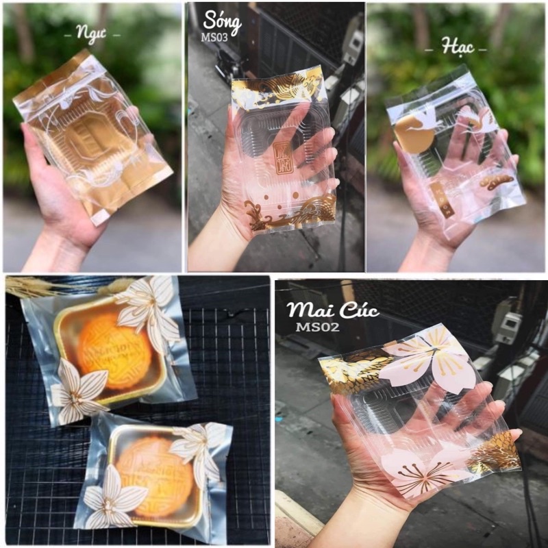 10 bộ khay túi đựng bánh trung thu 100g,150g
