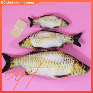 Cá chép gối ôm cho mèo