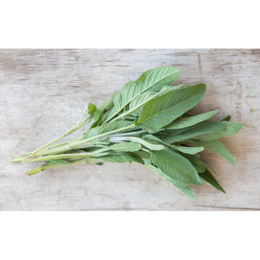 500g Bột Xô thơm Sage rubbed nghiền khô nguyên chất