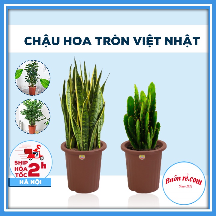 Chậu hoa tròn nhựa Decor nhà cửa xinh xắn 2287