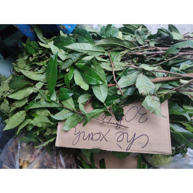 Chè xanh (Chè tươi/ Trà tươi) nửa kg