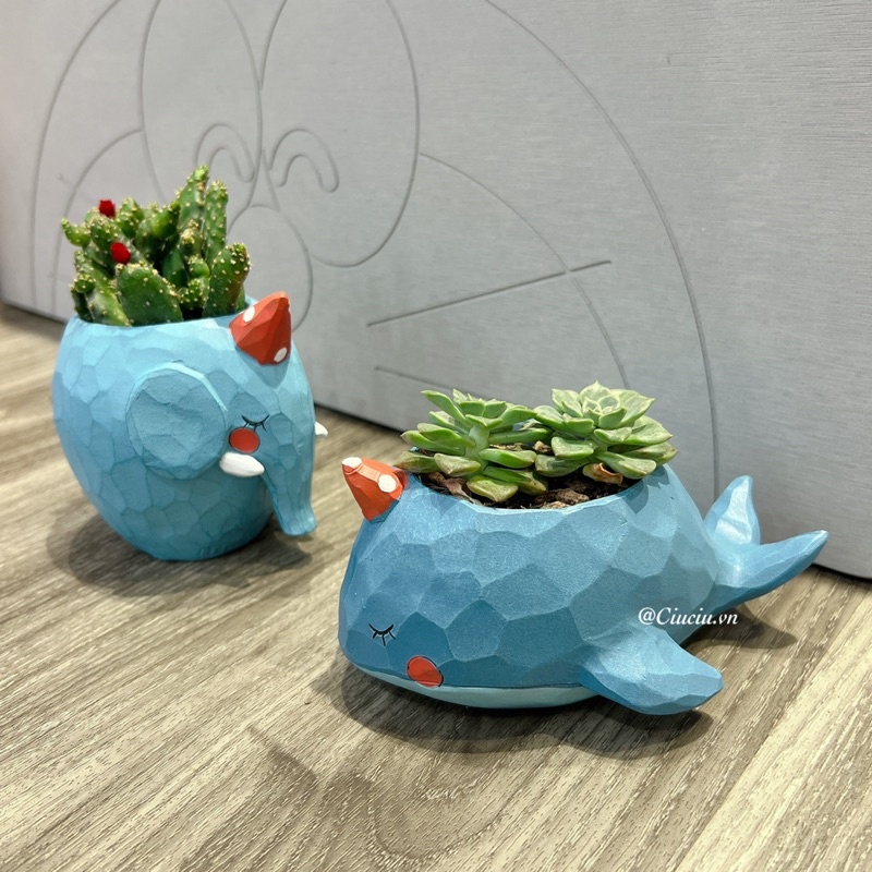 Chậu cây mini để bàn trồng sen đá xương rồng - Chậu đất sét thiết kế - Ảnh thật shop chụp