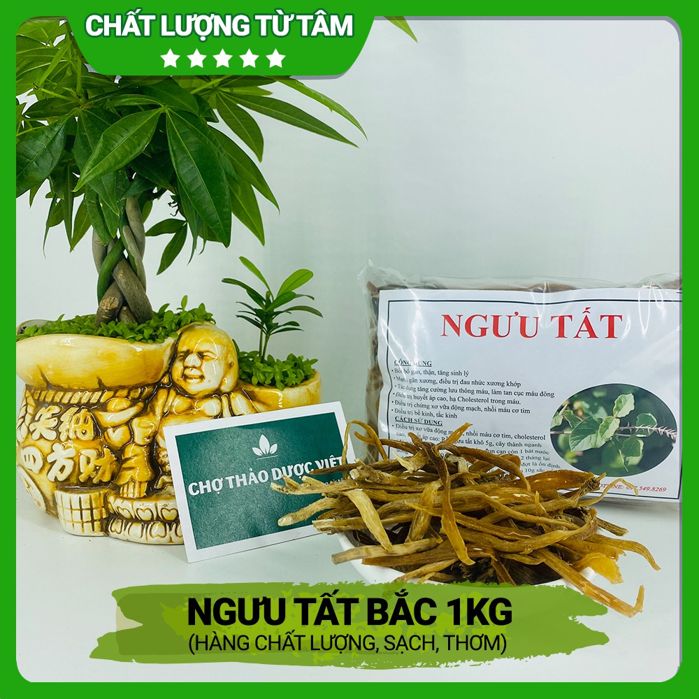 1kg Ngưu tất bắc (Hàng chất lượng, sạch, thơm) - Chợ Thảo Dược Việt