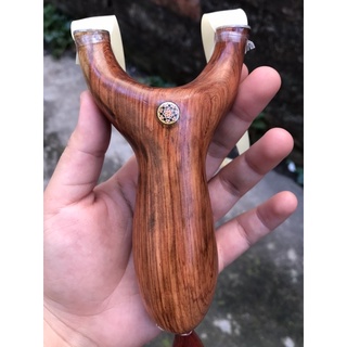 Ná hổ gỗ hương