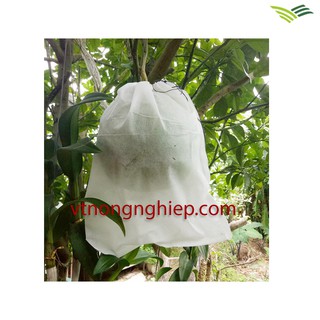 100 Túi 30x35cm Túi Bọc Trái Cây Bưởi Da Xanh