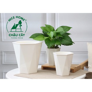 Chậu cây tự dưỡng thông minh - U03
