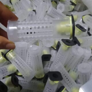 Lồng nhốt chúa tròn (10 chiếc )