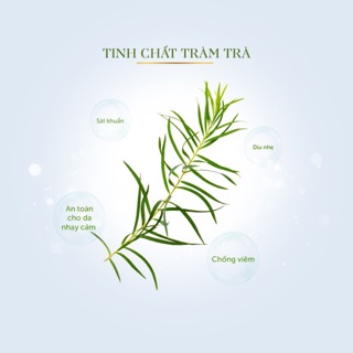 T2 – ACNES SERUM