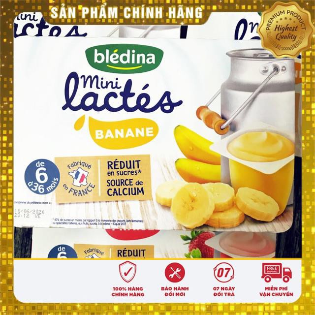 sữa chua Bledina Pháp 6m 12m ( Mẫu Mới)