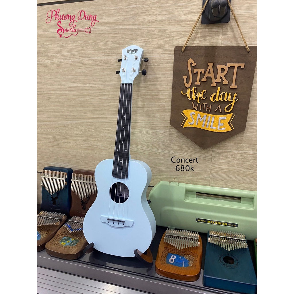 Đàn Ukulele chính hãng BWS size Concert - Carbon Fiber chuyên dụng