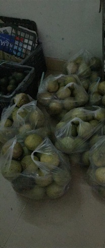 Bưởi Đoan Hùng