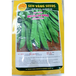 Hạt giống đậu hà lan bịch 20gr