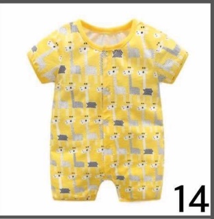 Body cotton xuất dư Hàn Quốc