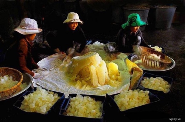 1KG ĐƯỜNG PHÈN VÀNG (ĐẬM) MẬT MÍA ĐẶC SẢN QUẢNG NGÃI | BigBuy360 - bigbuy360.vn