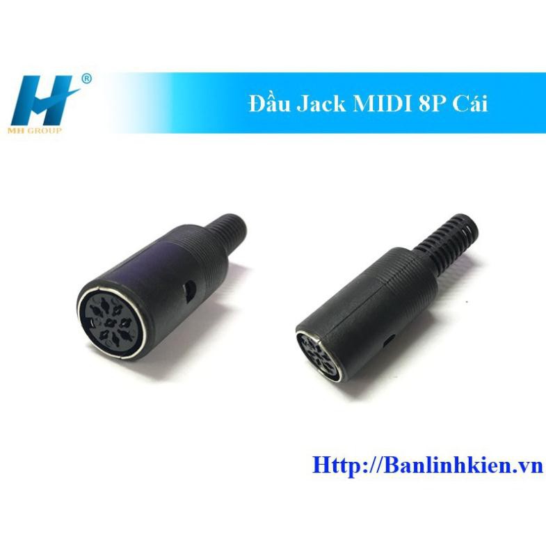 Đầu Jack MIDI 8P Cái