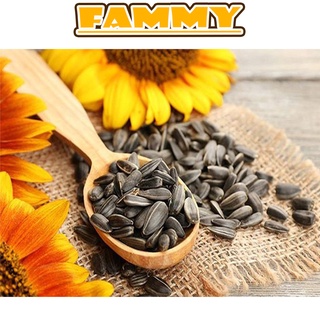 Hạt hướng dương vị mộc nguyên bản 40g fammy, đồ ăn hà nội vặt vừa rẻ vừa ngon