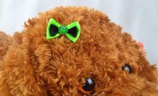 [Phụ Kiện Thú Cưng] - DÂY THUN NƠ CỘT TÓC CHO PETS