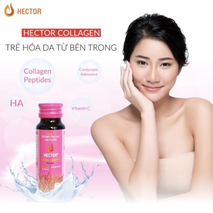 Nước Đông Trùng Hạ Thảo Hector Collagen Hộp 10 Chai