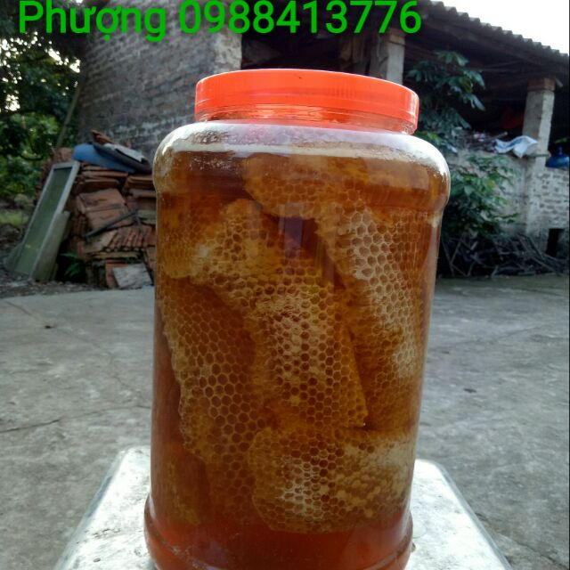 1.5kg Mật ong nguyên sáp