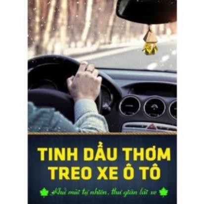 Tinh dầu treo xe, treo tủ quần áo  lọ 10ml ( sả chanh, trầm hương, quế, bạc hà, cà phê, oải hương, bưởi )