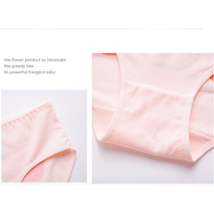 Quần lót nữ cotton thời trang cao cấp in hình đáng yêu dễ thương QL34 | BigBuy360 - bigbuy360.vn