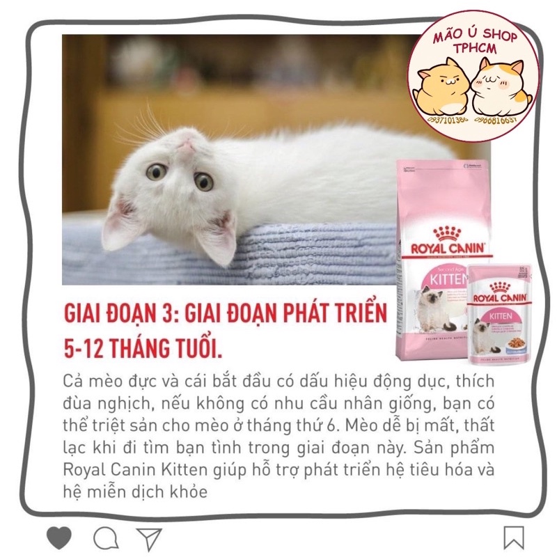 PATE ROYAL CANIN KITTEN GÓI 85G