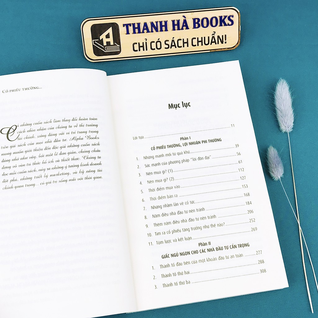 Sách - Cổ Phiếu Thường, Lợi Nhuận Phi Thường - Top 10 cuốn sách về chứng khoán hay nhất mọi thời đại - Thanh Hà Books