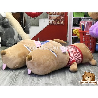 Chó Puco mặt ngu