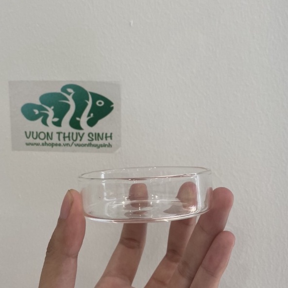 Chén thủy tinh cho tép cảnh ăn