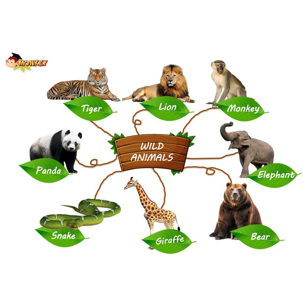 [Thẻ học thông minh] Sơ đồ tư duy monkey 15 chủ đề