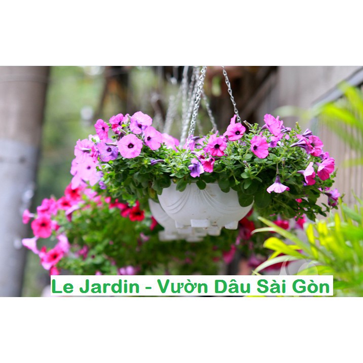 Bán Phân Hữu Cơ Viên Nén Cao Cấp - Agrimartin loại 1Kg  hàng chuẩn, nhập khẩu và phân phối.